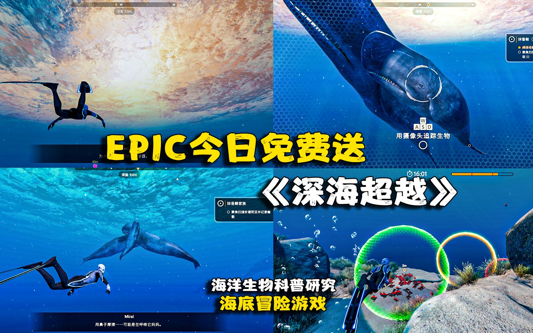 [图]【EPIC喜加一】潜水模拟:海洋科普游戏《Beyond Blue》深海超越，单人叙事冒险游戏，潜水研究鲸鱼海豚鲨鱼珊瑚海洋生物，领略蓝色星球奥秘，纪录片英国获奖