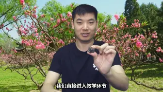 揭秘民间高手魔术戏法！骗了我7年，简单但你能破解吗？