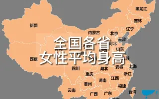 女性身高 哔哩哔哩 Bilibili