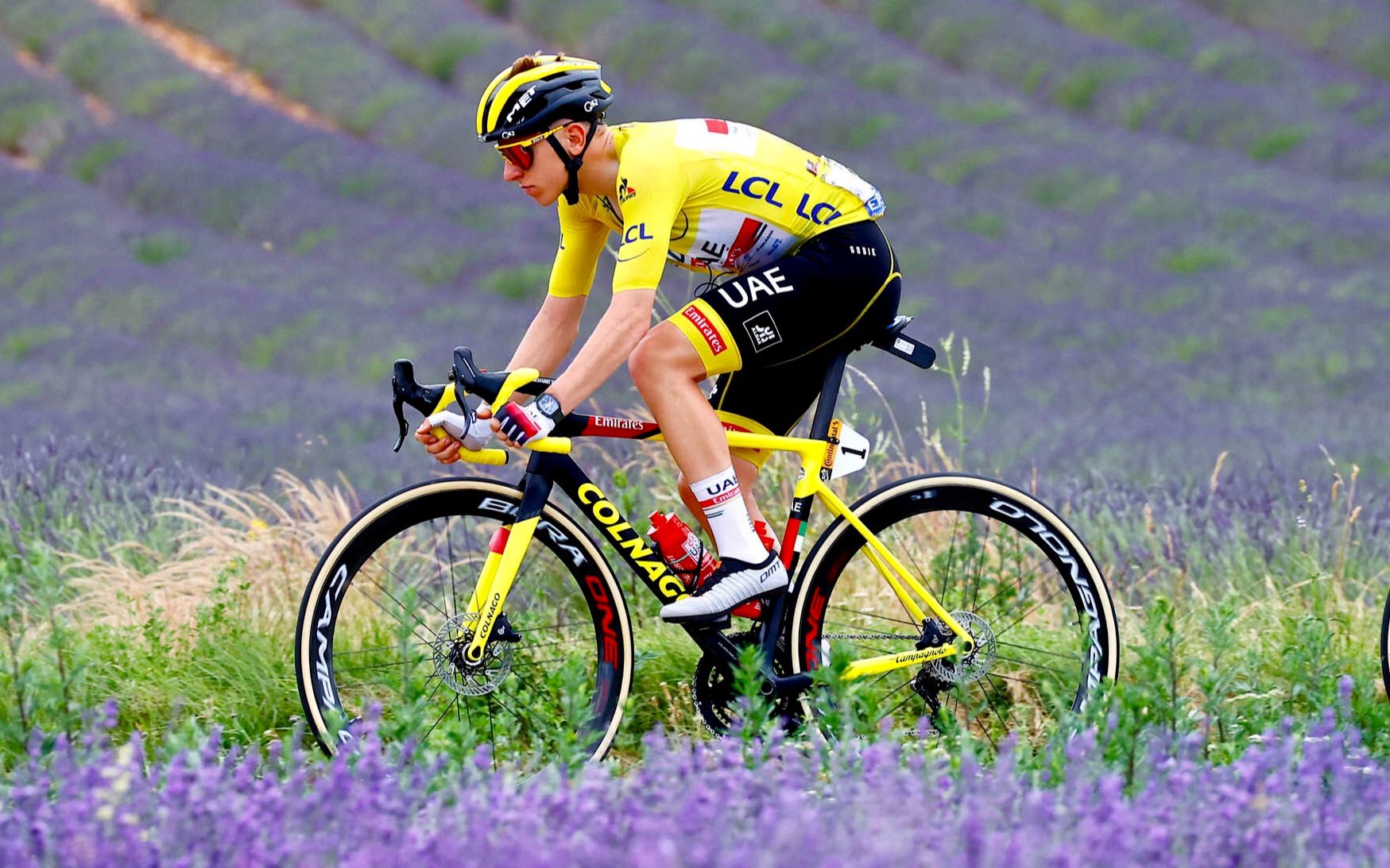 【公路车】波加查自述备赛2022环法训练