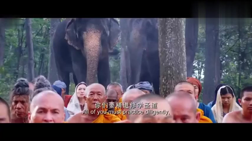 [图]释迦牟尼佛晚年被害毒死，天降异象七彩花瓣飘零，佛陀火种涅槃！-影视综视频-搜狐视频