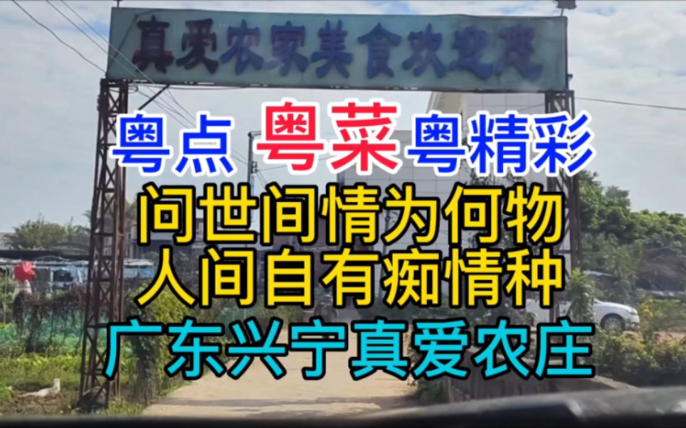 粤点粤菜粤精彩,问世间情为何物,人间自有痴情种,广东兴宁真爱农庄,粤语中字幕哔哩哔哩bilibili