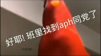 Download Video: “论aph和ch是同一圈这件事”