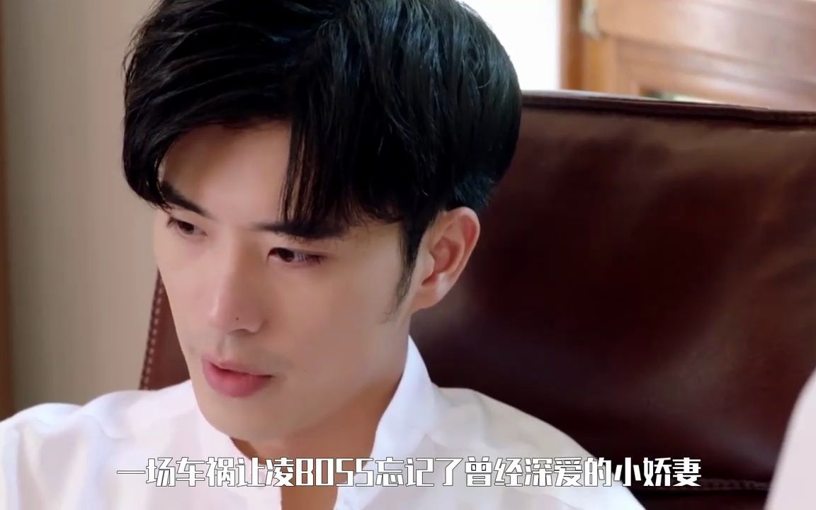 霸总@徐开骋失忆,小娇妻@王双开启追夫三十六计