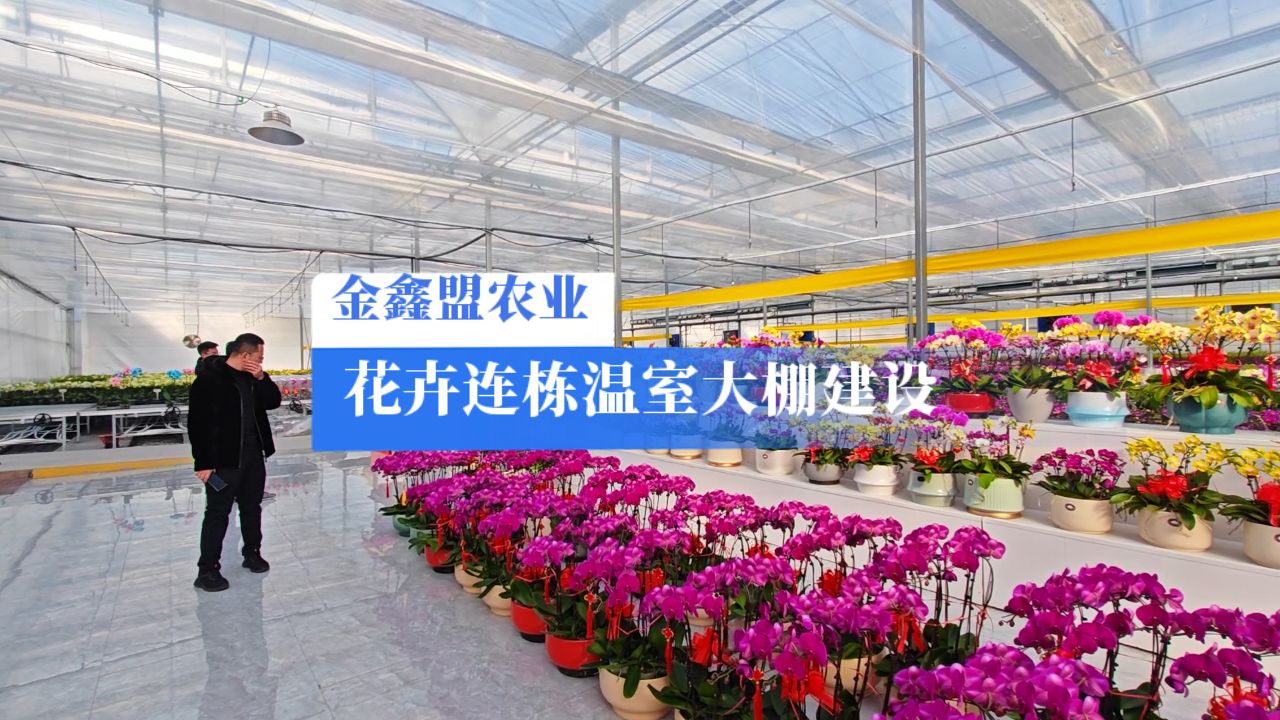 建设花卉连栋温室大棚:科学选址,合理设计