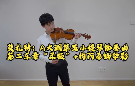 [图]莫扎特：A大调第五小提琴协奏曲第二乐章柔板（约阿希姆华彩）