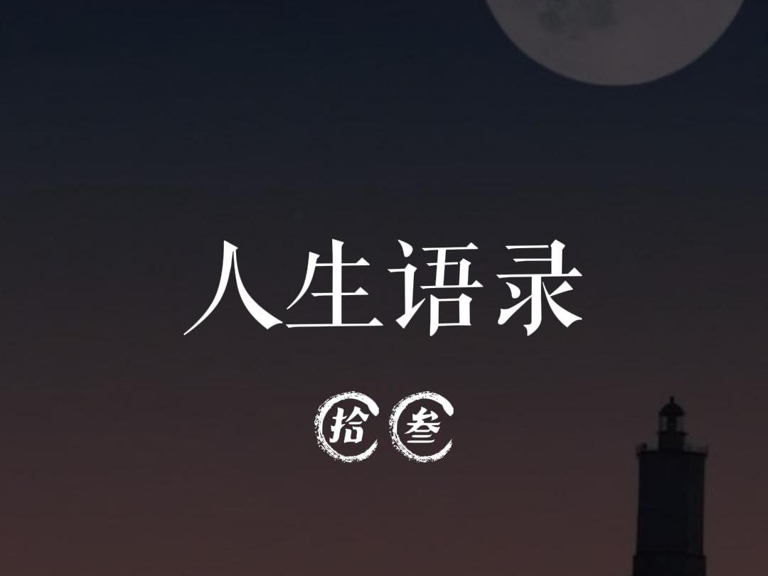 人生语录(拾叁)哔哩哔哩bilibili