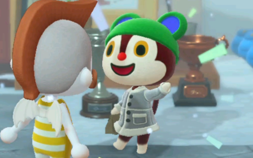 【动森】送茶茶熊耳帽子,太可爱了!