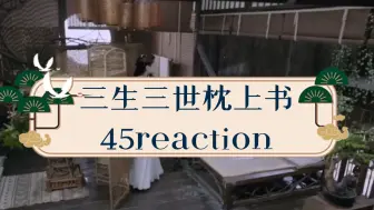 Download Video: 《三生三世枕上书》45reaction