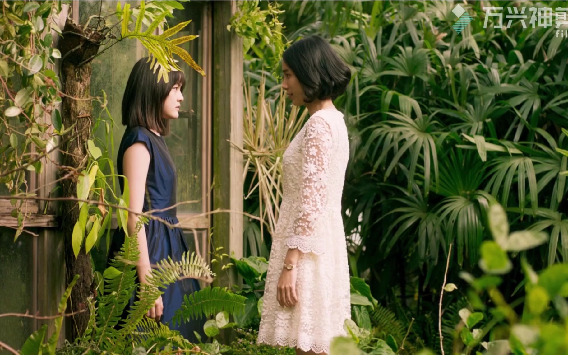 【血观音】棠真 x 林翩翩 | 我就不会这样轻易爱上你