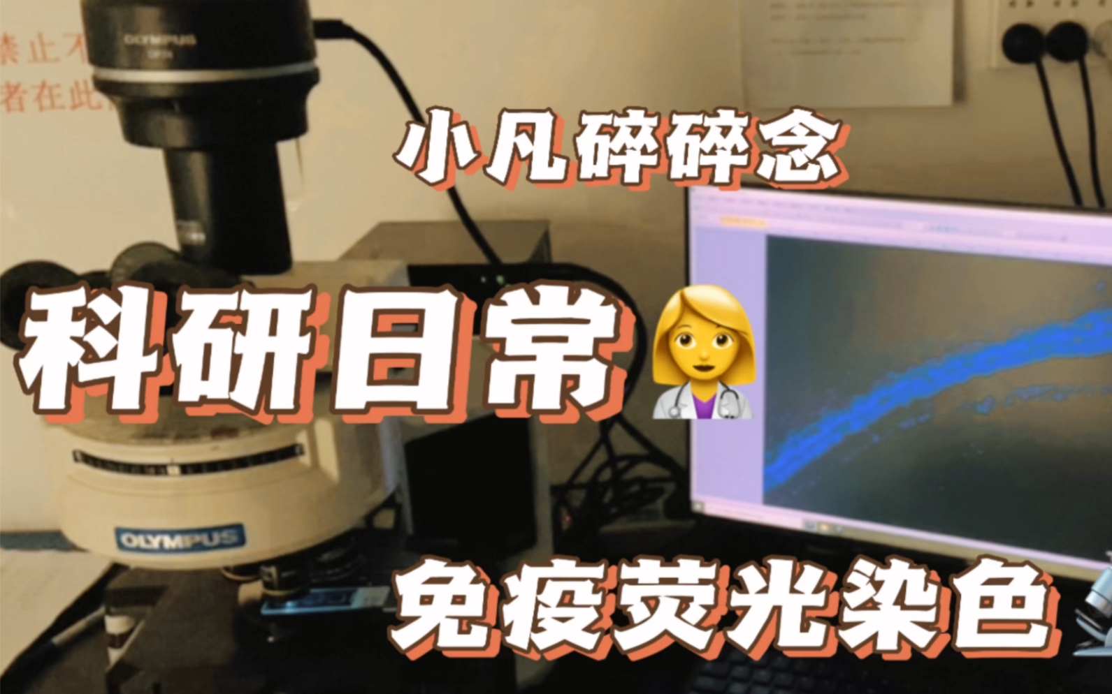 小凡的实验室vlog之免疫荧光染色(鸡汤版)哔哩哔哩bilibili