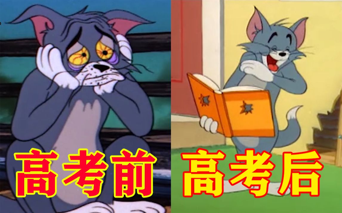 用猫和老鼠打开得知高考延期一个月的你