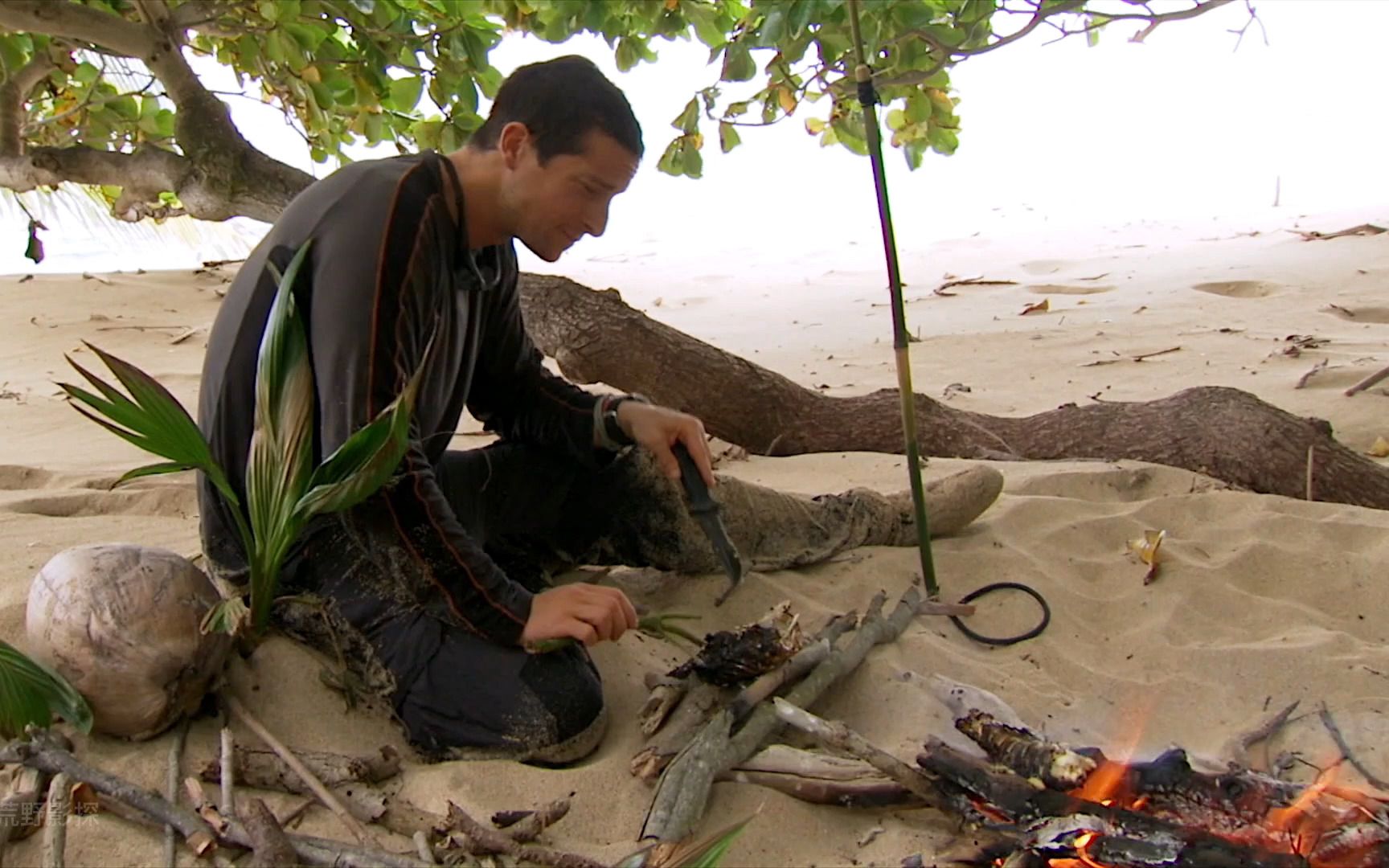 贝爷托雷斯海峡荒岛求生,逮住9斤澳龙大虾,钓野鲫鱼,住海景房