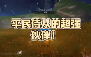 Download Video: 金刚鹦鹉：在妄想山海中，平民侍从的超强伙伴！