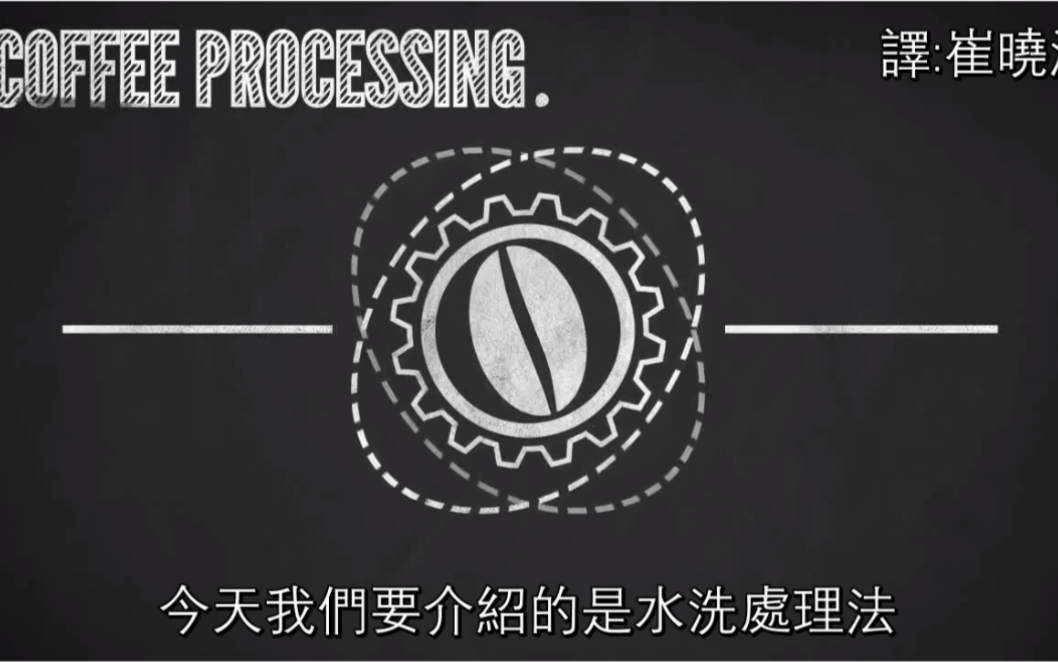 水洗处理法 中文字幕 Coffee Processing  Washed Coffee哔哩哔哩bilibili