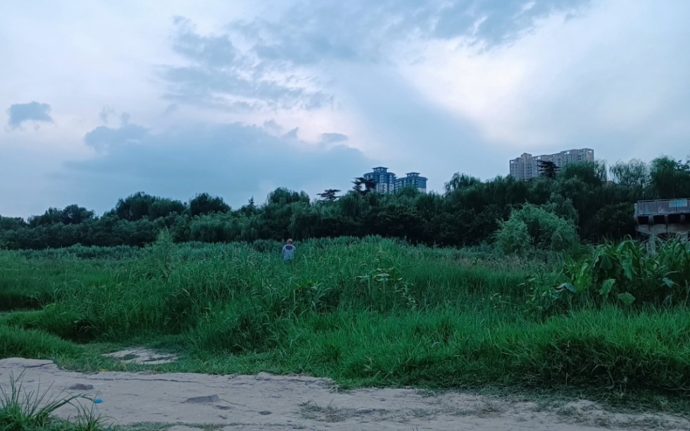 洛阳洛浦公园风景