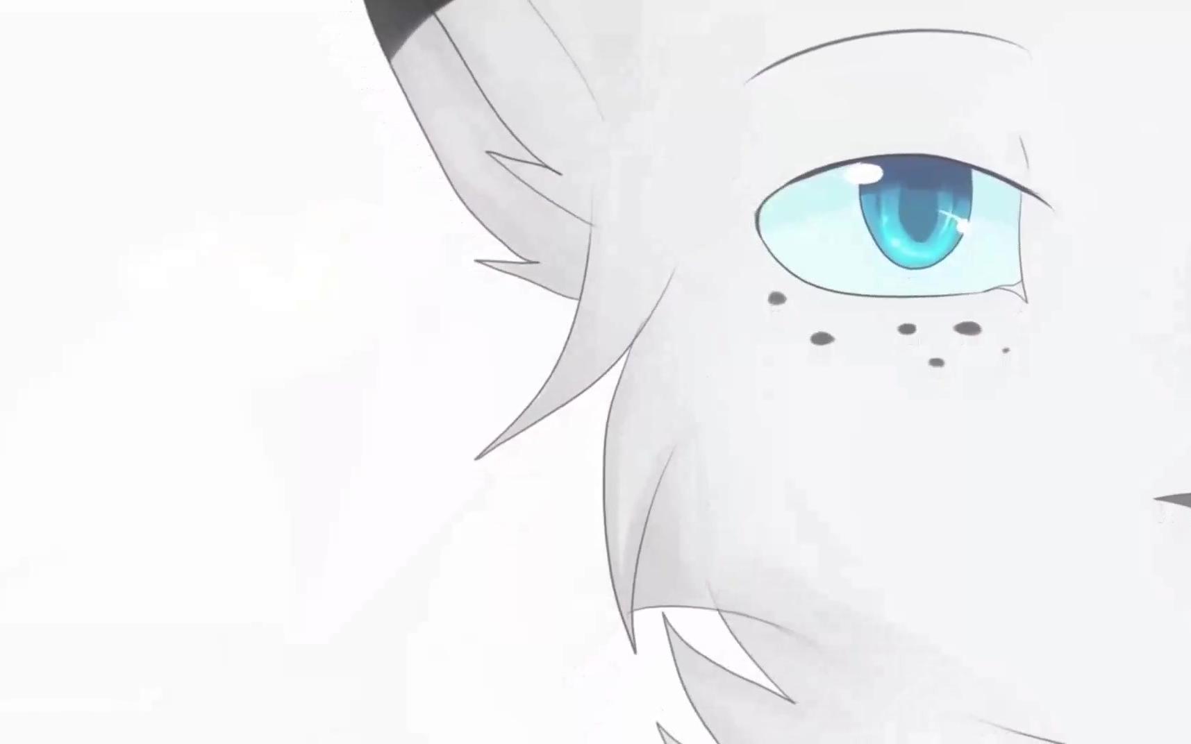 油管猫武士蓟掌centuriesmap