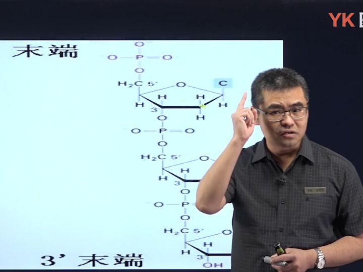 [图]01.DNA的生物合成（复制）