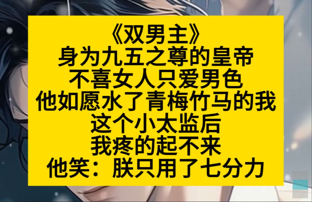 原耽推文 身为九五之尊的皇帝,水了我这个青梅竹马的小太监后……哔哩哔哩bilibili