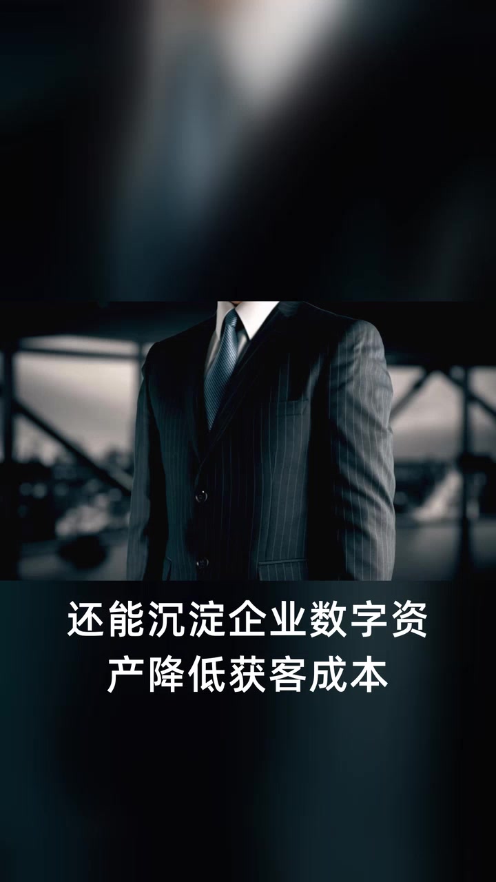 做好生成式引擎优化 抢占AI搜索流量新入口,生成式引擎优化,AI获客新玩法