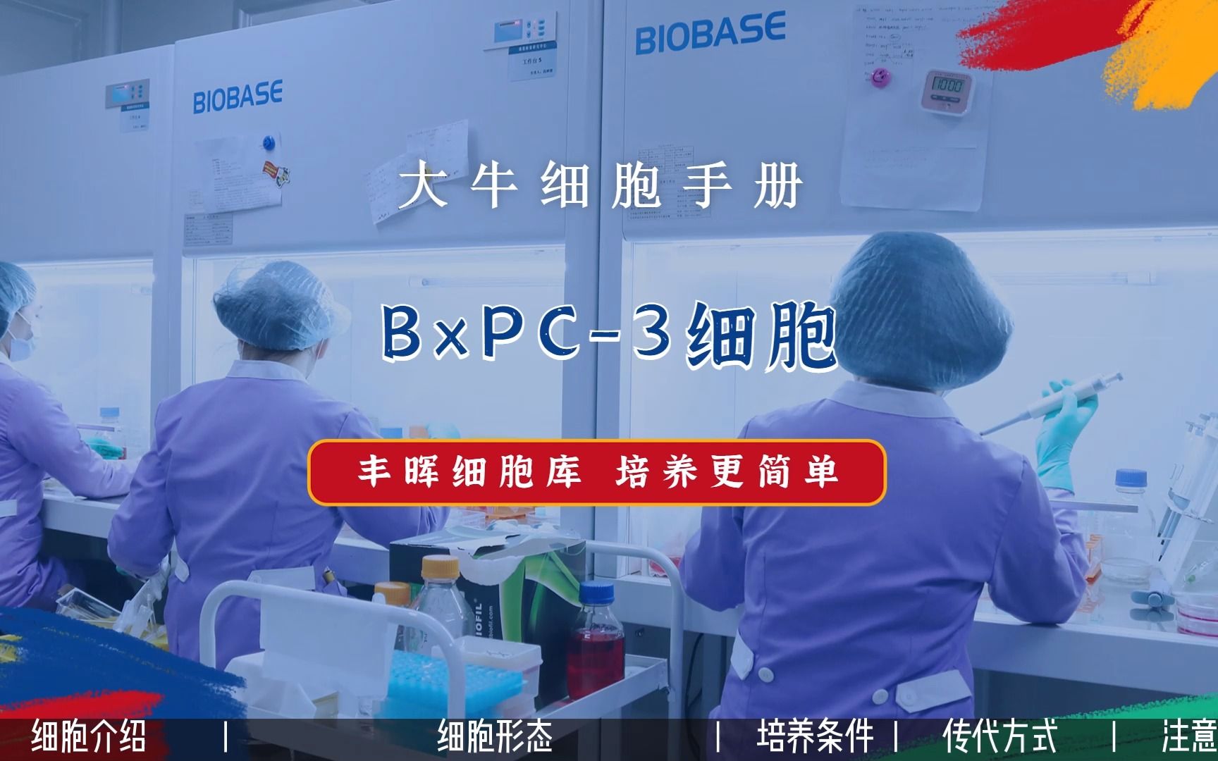 丰晖生物细胞库培养手册——BxPC3细胞培养,人原位胰腺腺癌细胞培养攻略.哔哩哔哩bilibili