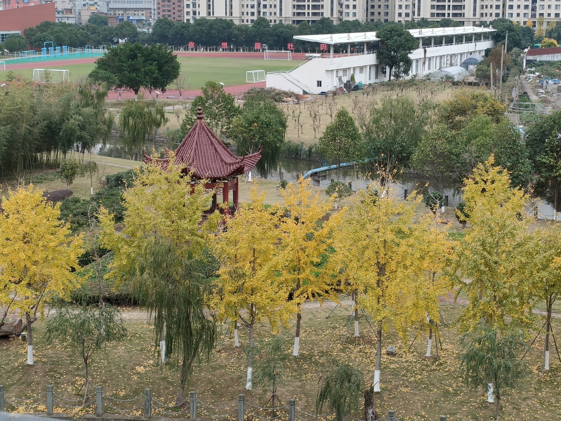 [图]林清玄的《人间最美是清欢》在寂寞的晚上享受美文吧