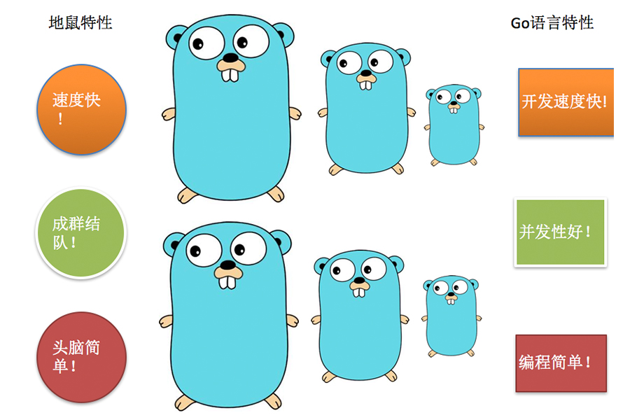 [图]Golang零基础到就业 Go语言=Python【高效率】+C语言【高性能】