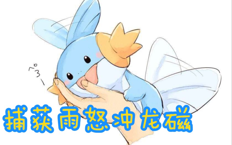 【Pokemmo】撞车龙磁钉大佬,捕获雨怒冲龙磁——如何冲傻当今mmo屁威屁盛行的龙磁自杀钉哔哩哔哩bilibili