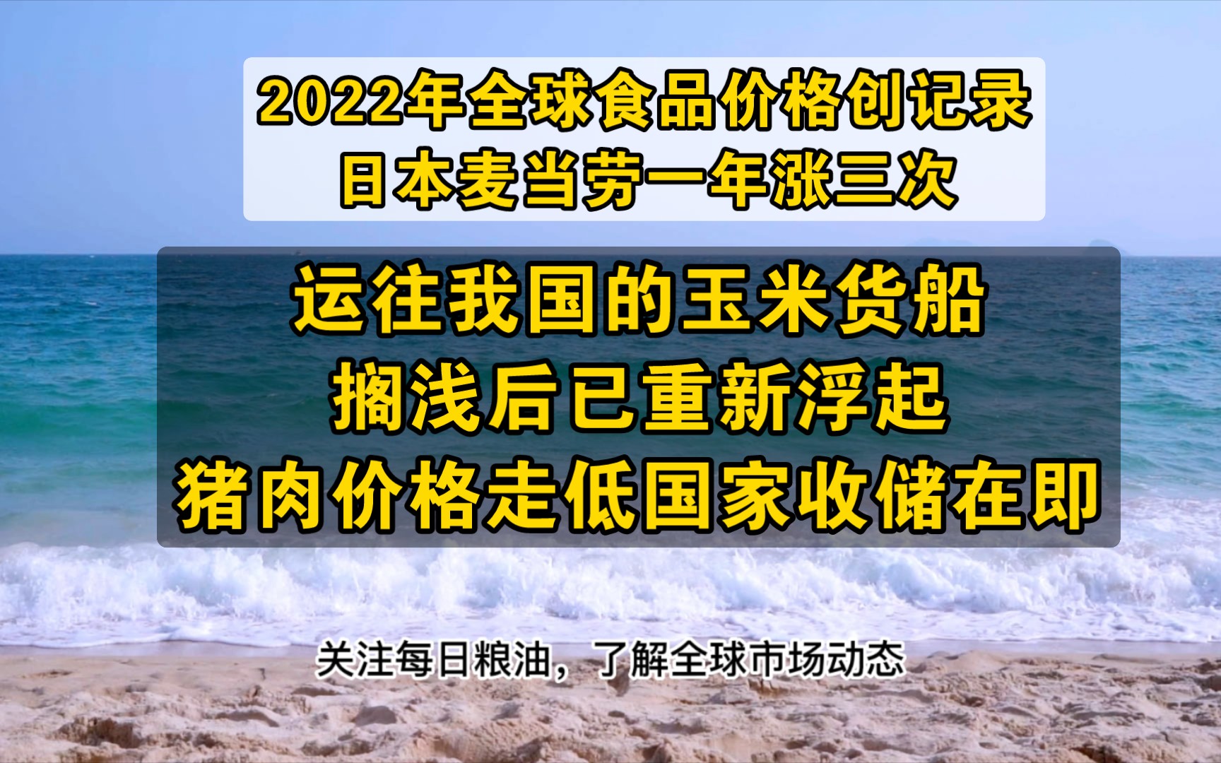 刚刚过去的一年全球粮价创记录,日本麦当劳一年涨价三次;运往我国的玉米货船搁浅后已重新浮起,猪肉价格走低国家收储在即哔哩哔哩bilibili