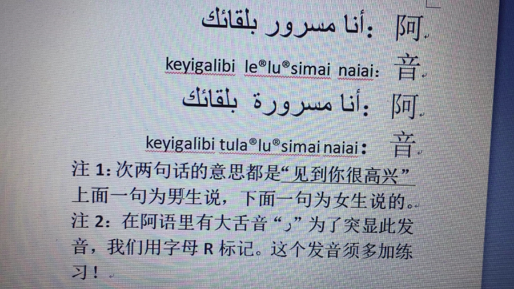 每天由也门籍老师,阿萨德线上指导发音,口语有问题可以随时提问