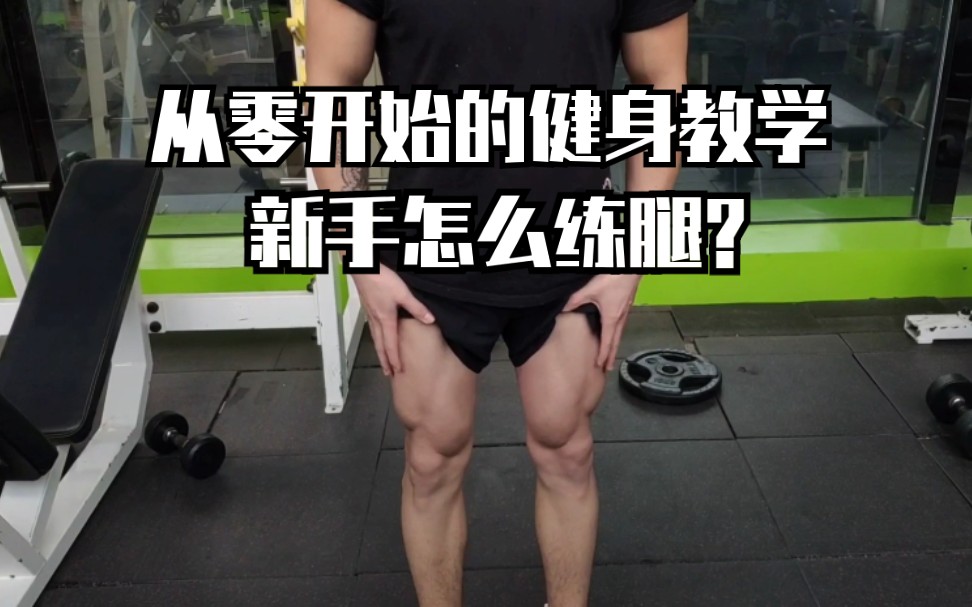 【从零开始的健身】新手怎么练腿?练哪几个动作?动作怎么做?哔哩哔哩bilibili