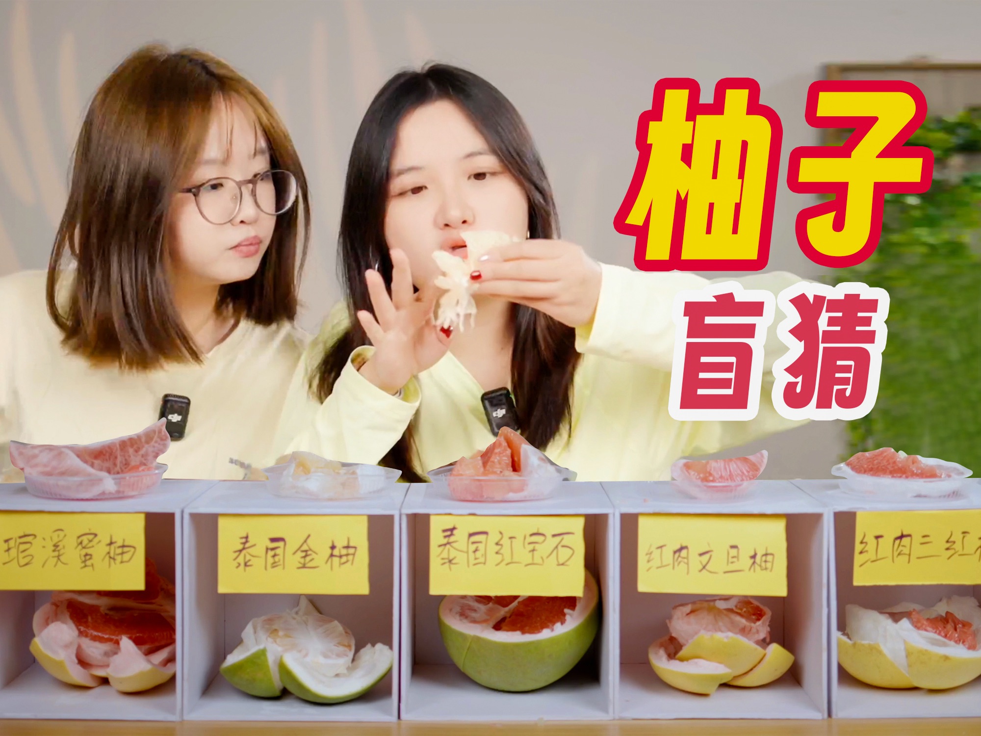 一口气试吃7个品种柚子,谁才是柚子之王?-恰坨子咯-恰坨子咯-哔哩哔哩视频