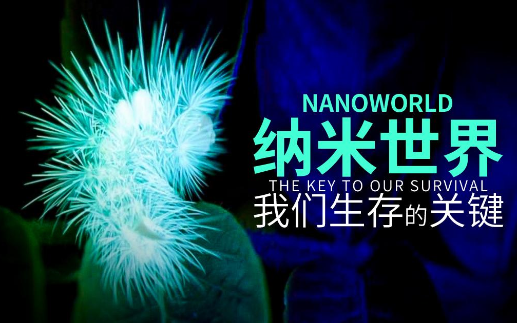 【法国】【纪录片】纳米世界:我们生存的关键 Nanoworld: The Key to Our Survival哔哩哔哩bilibili