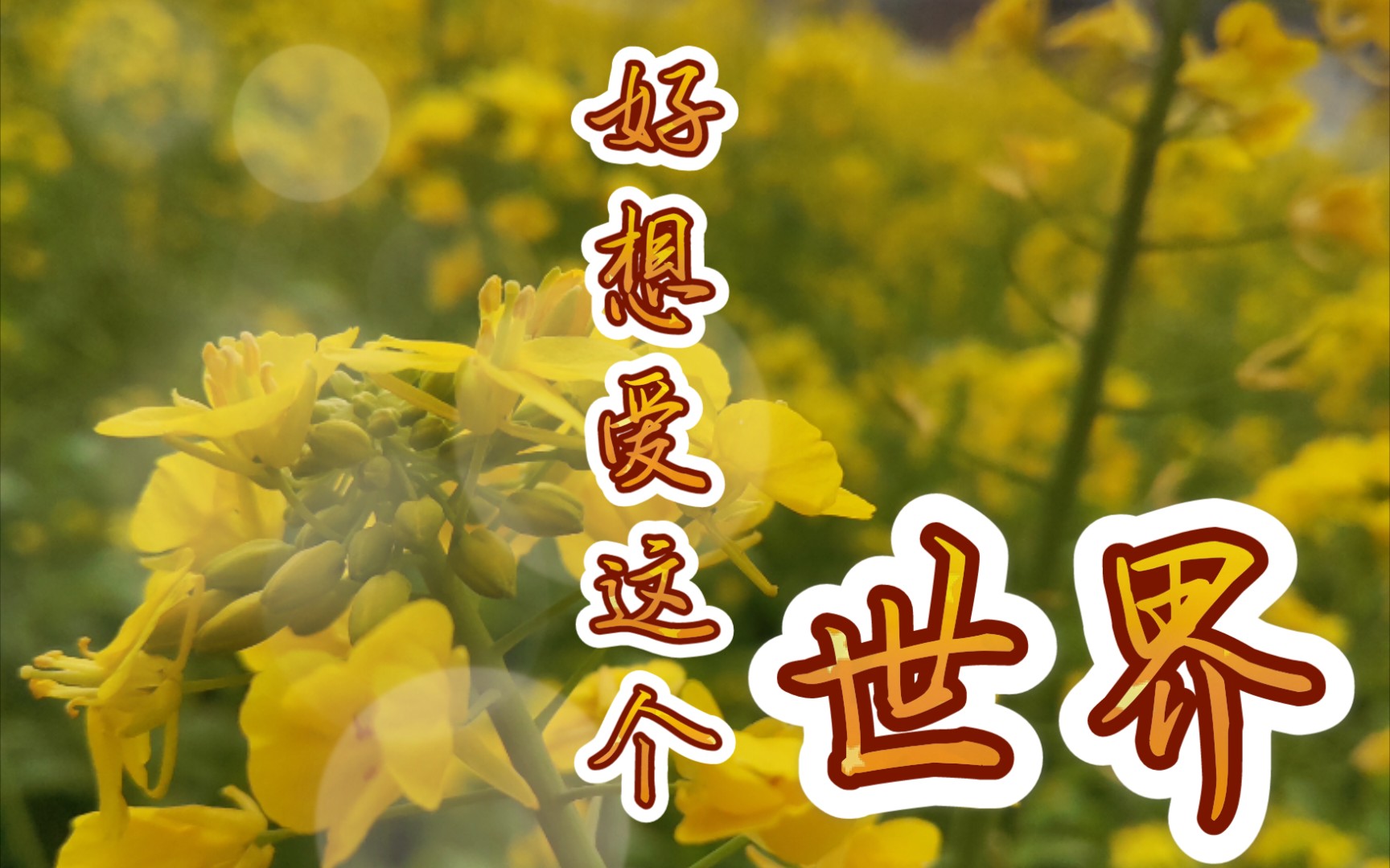 【好想爱这个世界】适合深夜网抑云的音乐