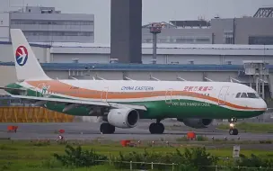 Download Video: 中国东方航空空客A321-200 (B-2290,世博涂装)东京成田国际机场起降