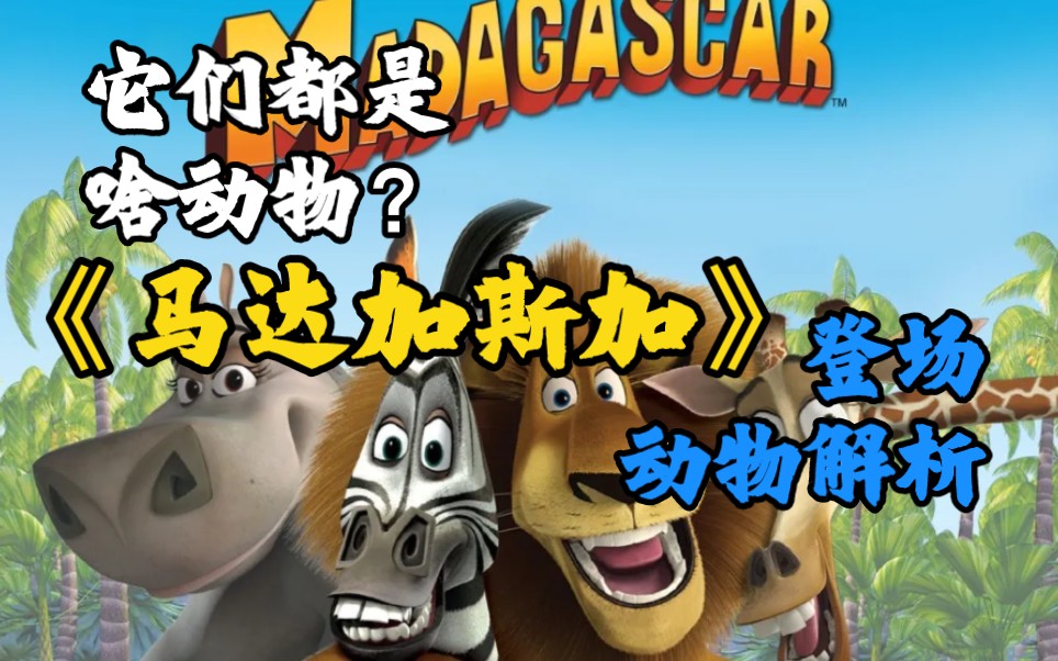 企鹅特种兵?《马达加斯加》电影登场动物原型解析!这都是啥动物呀?!(