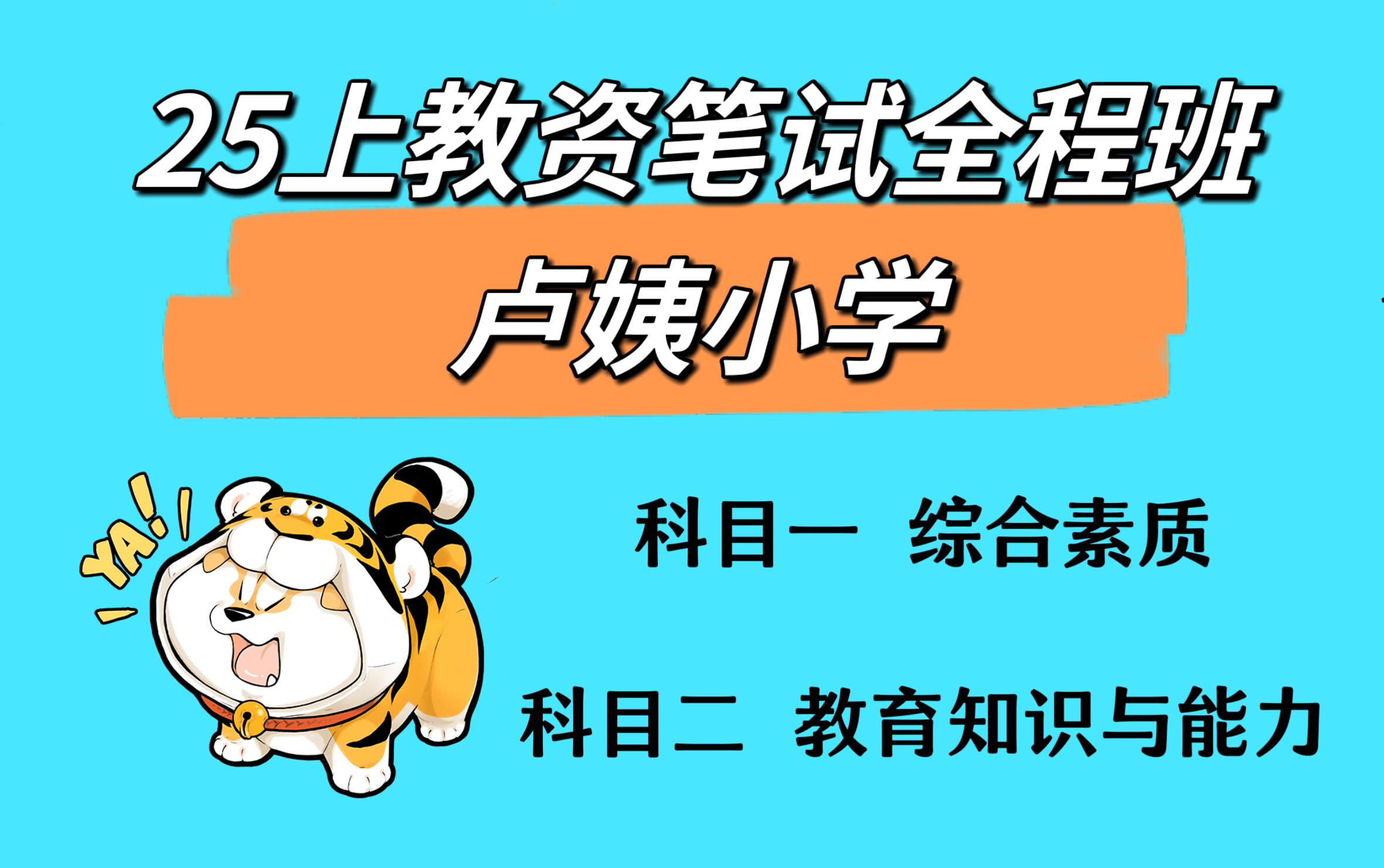 【2025上卢姨小学教资笔试全程班】 25年3月最新卢姨教师资格证笔试 小学科目一综合素质 科目二教育知识与能力【课程+讲义】哔哩哔哩bilibili