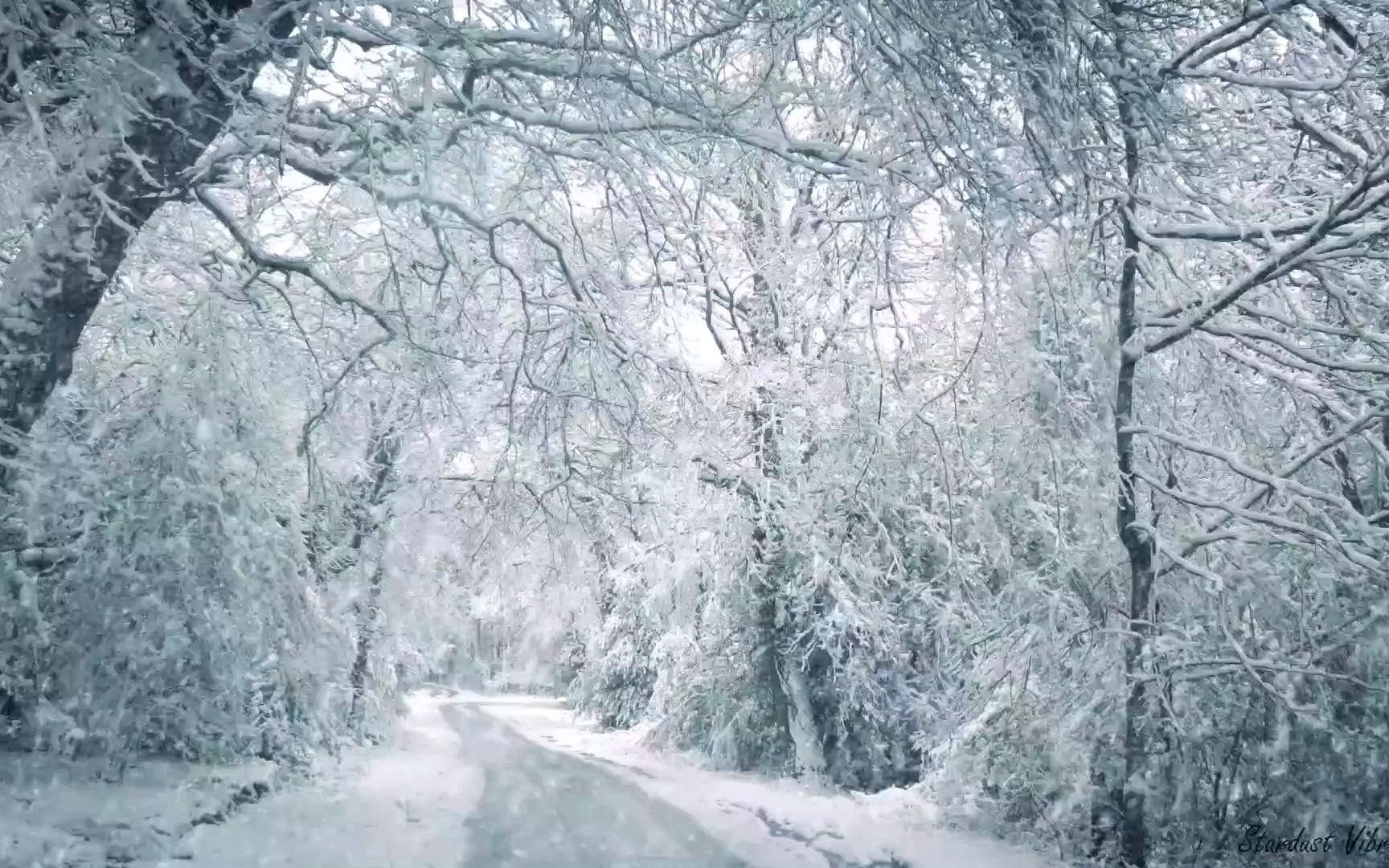 [图]听听暴雪的风声、放松和保持凉爽、体味寒冷中入睡