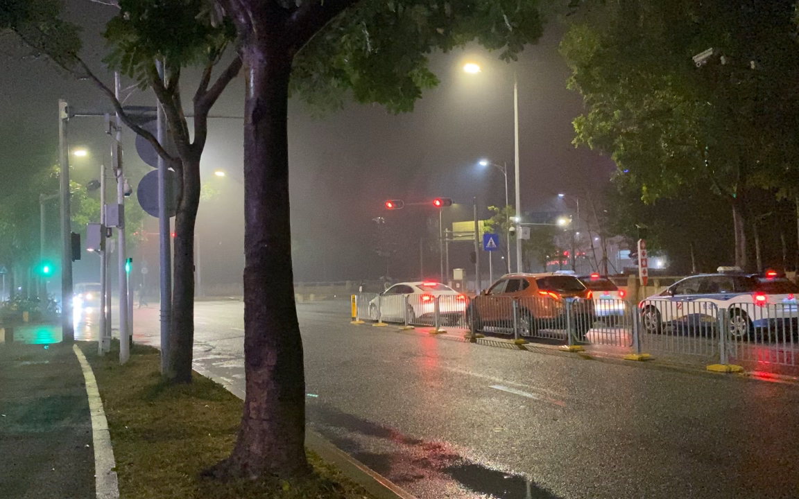 [图]【番外合集】细雨，2021年4月