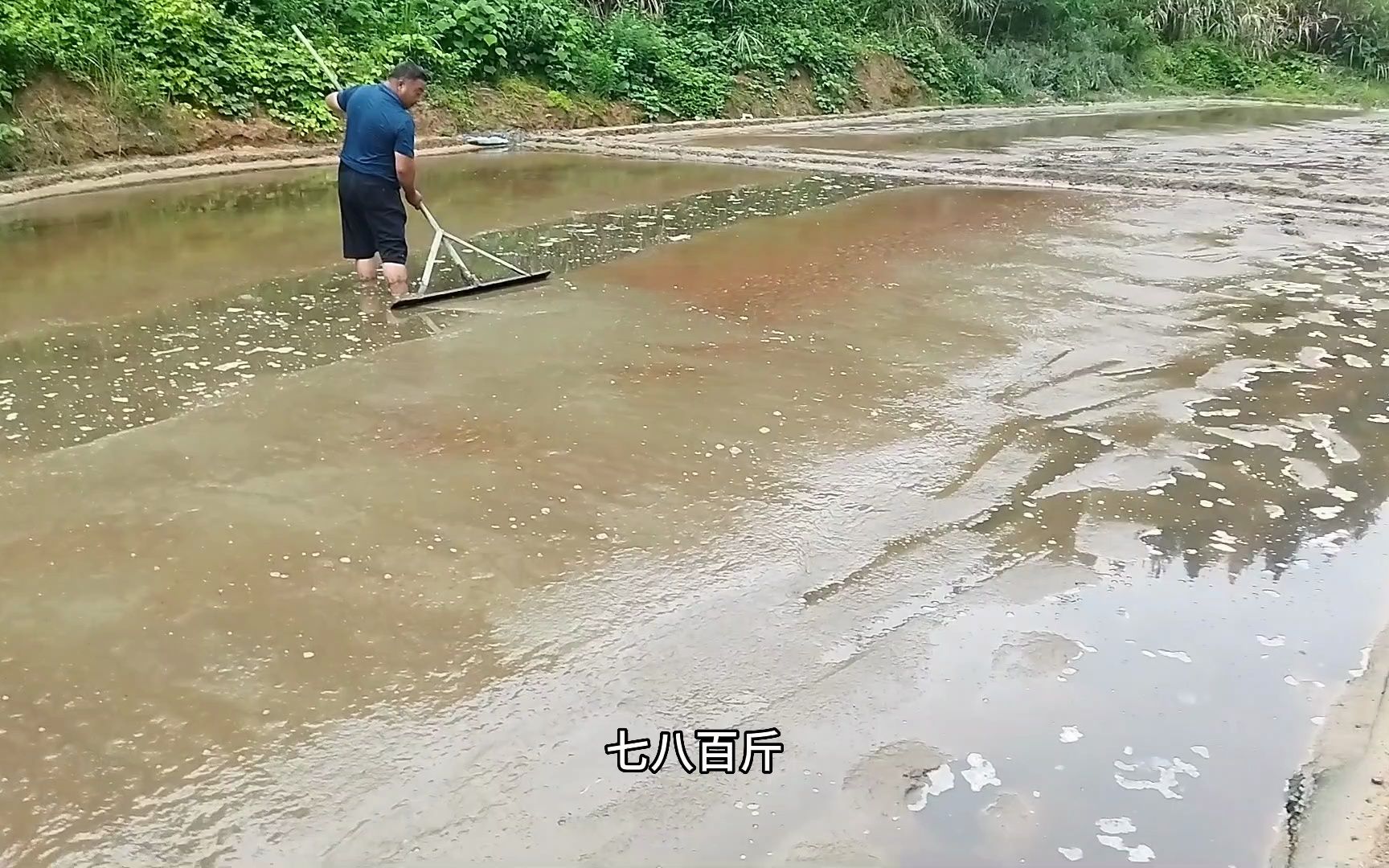 福建百亩红虫养殖基地,工人一月3万一年36万,养殖红虫很暴利哔哩哔哩bilibili