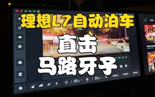 Download Video: 全程无剪辑！理想L7（自动泊车）直冲马路牙子 ？