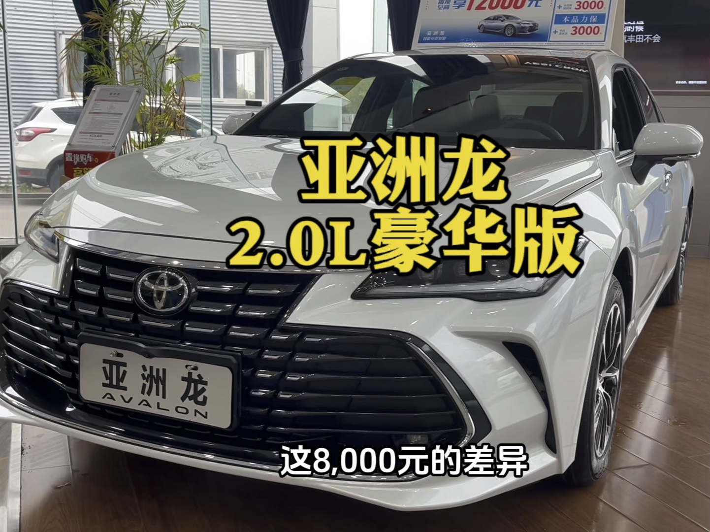 旗舰轿车亚洲龙 丰田亚洲龙 2.0l豪华版 配置差异