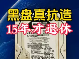 Download Video: 西数黑盘真能抗，用了15年才退休，西数320G台式机黑盘不识别数据恢复