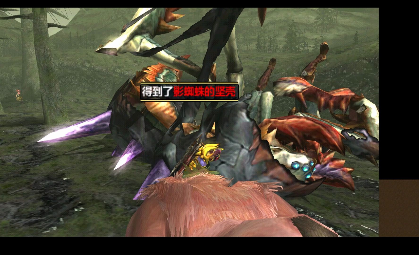 怪物猎人xx勇气双剑秒天秒地秒空气之上位集会所影蜘蛛(无偿提供资源