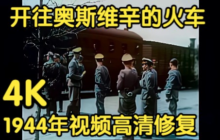 [图][4k/60帧/配乐/彩色] 1944年历史真实影像修复! 开往奥斯维辛的火车