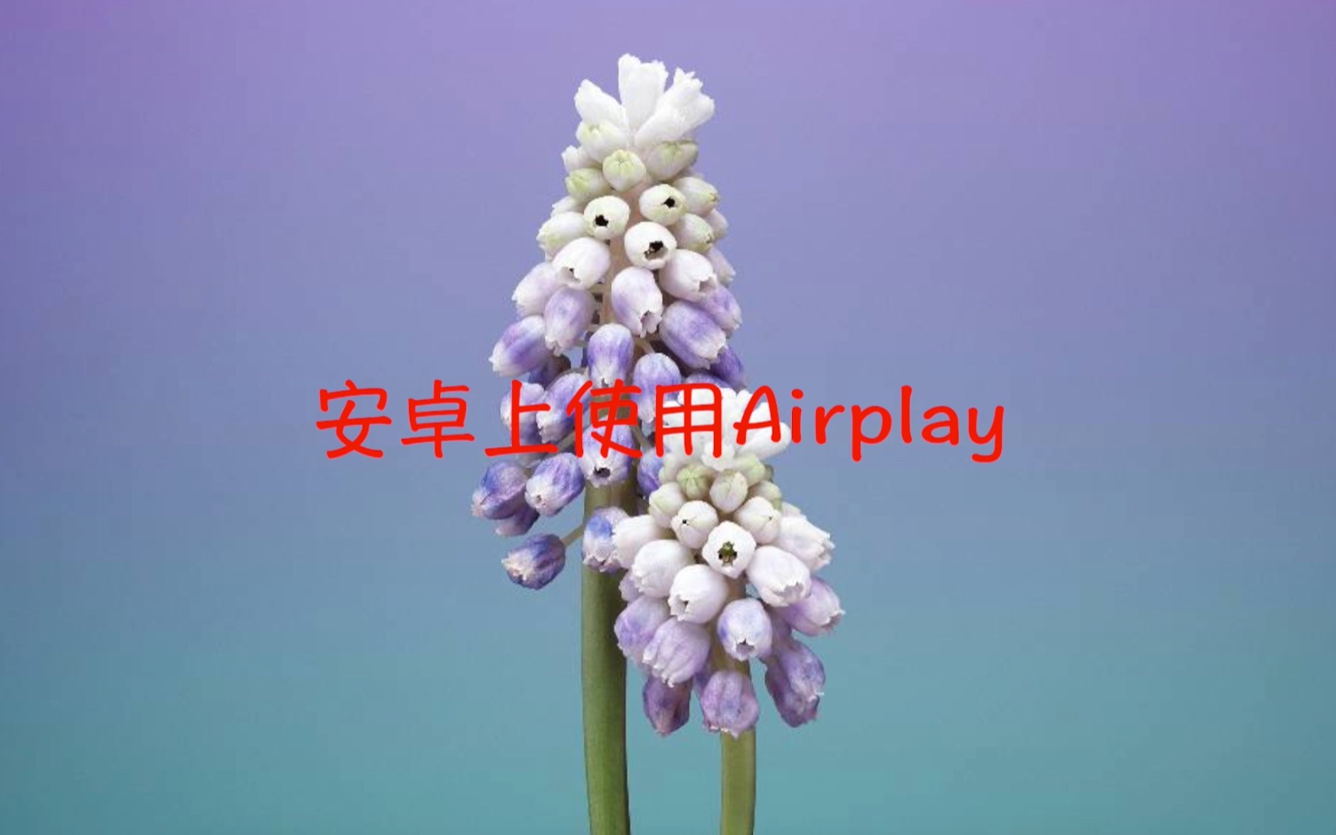 安卓实现AirPlay哔哩哔哩bilibili