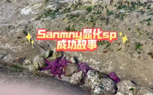 Sammy美人鱼邦一个成功故事（sp向 | 附肯定语内容）