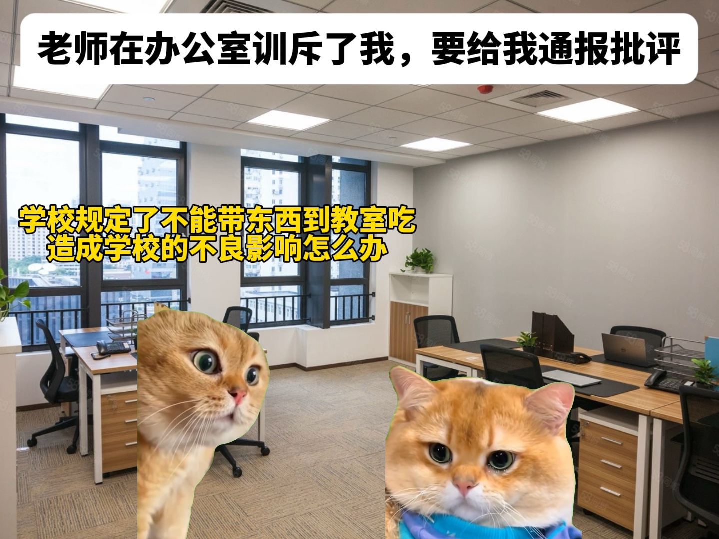 虽然生活有时不如意,单每次都会有不一样的惊喜-猫meme小剧场江笑笑-猫meme小剧场江笑笑-哔哩哔哩视频