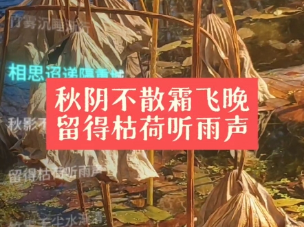 Zoe采诗 唱古诗 枯荷听雨 宿骆氏亭寄怀崔雍崔衮 李商隐哔哩哔哩bilibili