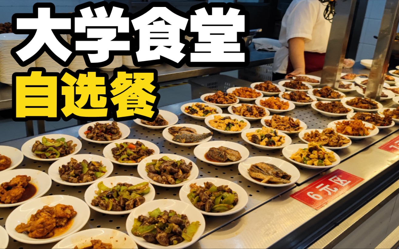 活动  大学食堂的自选餐,几十盘荤素菜品随意选,最便宜的只要2元一盘.